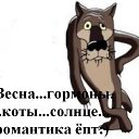 ���� ����, ������, 49 ��� - ��������� 13 ����� 2013 � ������ �������