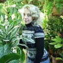 ���� ����, �������������, 53 ���� - ��������� 23 ���� 2013 � ������ ���� ����������