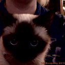 ���� ���@����@, �������, 49 ��� - ��������� 23 ������� 2010 � ������ ���� �����