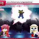 ���� ���������, ����������, 40 ��� - ��������� 25 ������� 2010 � ������ �PetLove�