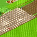 ���� �����, ������, 44 ���� - ��������� 24 ������ 2011 � ������ ������� �������