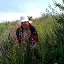 ���� �������, �������, 64 ���� - ��������� 4 �������� 2012 � ������ ���� ����������