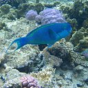  ,  -  19  2011       ...