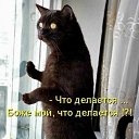 ���� ������, �����������, 53 ���� - ��������� 25 ������� 2012 � ������ ���� ����������