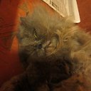 ���� ����, ������, 33 ���� - ��������� 25 �������� 2012 � ������ ���� ������� ������ =)�