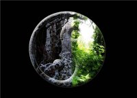 ���� �������, ��������, 44 ���� - ��������� 19 �������� 2011