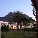 ���� ���, ������ - ��������� 26 �������� 2010 � ������ �������, ����-2010�