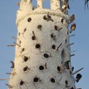 ���� ������, ���������, 62 ���� - ��������� 17 ��� 2011 � ������ �������