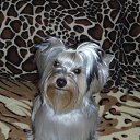 ��� �������� �� ������� ���� �����