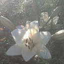 �����. �� ������� ���� ����������