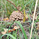 ���� ����, ����� - ��������� 8 ������ 2013 � ������ ���� ����������