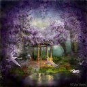  ~~,  -  4  2010   Carol Cavalaris,      .