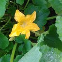 ���� ������, ������, 59 ��� - ��������� 21 ������� 2012 � ������ ���� ����