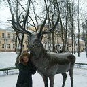 ���� ���, ������, 51 ��� - ��������� 26 ������ 2010 � ������ ���� ����������