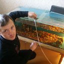 ���� �������� ����, ������, 51 ��� - ��������� 18 ����� 2012 � ������ ���� ����������