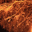 ���� Jouri, ������-��-���� - ��������� 24 ������ 2013 � ������ ��������