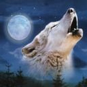 ���� ����, ������, 43 ���� - ��������� 26 ������ 2012 � ������ ���� ����������