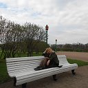  , -, 54  -  12  2013   !.:-) :-) :-)