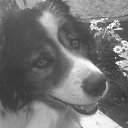 ����� �� ������� �������!�