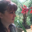 ���� ��������, ����, 50 ��� - ��������� 31 ��� 2013 � ������ ���� ����������