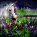  ~~,  -  4  2010   Carol Cavalaris,      .