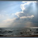 ���� �����, ����� - ��������� 29 ������ 2013 � ������ ����λ