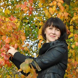 ���� �����, ������ - ��������� 8 ������� 2012