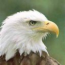 ���� ����, ������, 26 ��� - ��������� 25 ����� 2010 � ������ ���� ����������