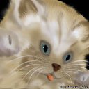  ,  , 37  -  2  2010      :-*****