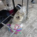 ���� �������, ���, 67 ��� - ��������� 15 ������ 2013 � ������ ��������� ��������� ��������� � ����-��� (������ 2012�)�