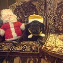 ���� ����, ���������, 59 ��� - ��������� 21 ������ 2012 � ������ ���� ����������