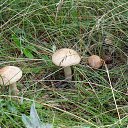 ���� ���������, ���������, 72 ���� - ��������� 27 ������� 2012 � ������ �������