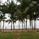 ���� �����, ���� - ��������� 26 ������ 2011 � ������ ���� ����������