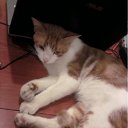 ���� - ��� ��������� �� ������� �������