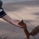 ���� �����, ������������ - ��������� 19 ������� 2012 � ������ �������