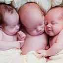 ���� _N_, ������ - ��������� 13 ��� 2013 � ������ ���������� �������