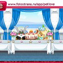 ���� ����, ������, 34 ���� - ��������� 7 ������� 2010 � ������ �PetLove�