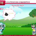 ���� ����- ������, ������������, 53 ���� - ��������� 1 ������ 2010 � ������ �PetLove�