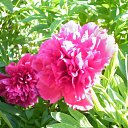 ���� �������, ���������, 69 ��� - ��������� 17 ������� 2011 � ������ ���� ��������