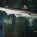 ���� ������, ���� - ��������� 2 ������� 2010 � ������ ���������� ���