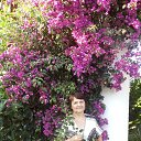 ���� �����, ���������, 64 ���� - ��������� 3 ���� 2013 � ������ ������ � ������.�