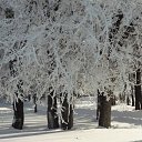 ���� ����, ���������, 47 ��� - ��������� 10 ������� 2010 � ������ ��������