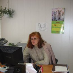 ���� �����, ���� - ��������� 31 ������� 2009