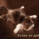 ���� �������, �����������, 53 ���� - ��������� 8 ���� 2011 � ������ �������...�