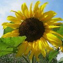 ���� �������, ��������� - ��������� 14 ��� 2012 � ������ �������