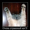 ���� ������������������������������������������������������������������, ��������, 39 ��� - ��������� 10 ���� 2010 � ������ ����ݻ