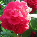 ���� �����, ������ - ��������� 12 ���� 2010 � ������ ��������