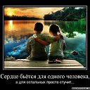 ���� ����, �������-���������, 48 ��� - ��������� 27 ������� 2013