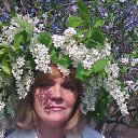 ���� ����, �������, 54 ���� - ��������� 9 ������ 2011 � ������ ���� ����������