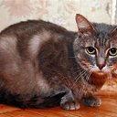 ������� ����, ��� ����� � ���� ����������!!! ������ ����������� � ����� ��� ���� ����� ��..., �� ���� ������ �...� ��������. �� ������� ������� �������� �� ����..�